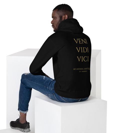 Veni Vidi Vici Hoodie